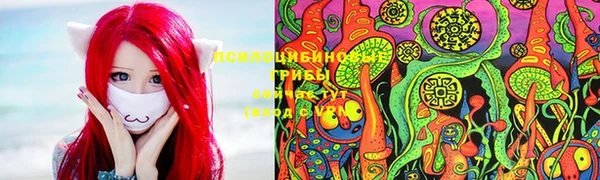 прущая мука Мегион