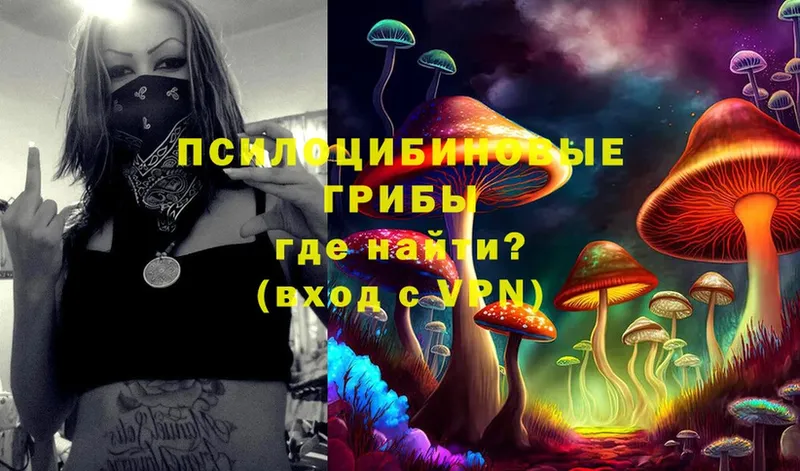 Галлюциногенные грибы Magic Shrooms  Куровское 